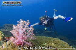 Hi Guys, No time to post lately been a bit busy with my n... by Richard Swann 